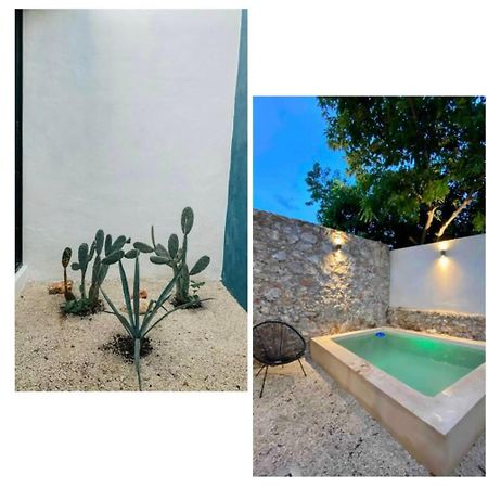 梅里达Modern Casa With Pool 7 Mins From Centro 5Min La Plancha Park别墅 外观 照片