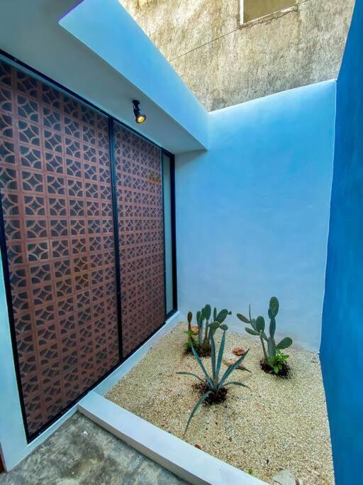梅里达Modern Casa With Pool 7 Mins From Centro 5Min La Plancha Park别墅 外观 照片